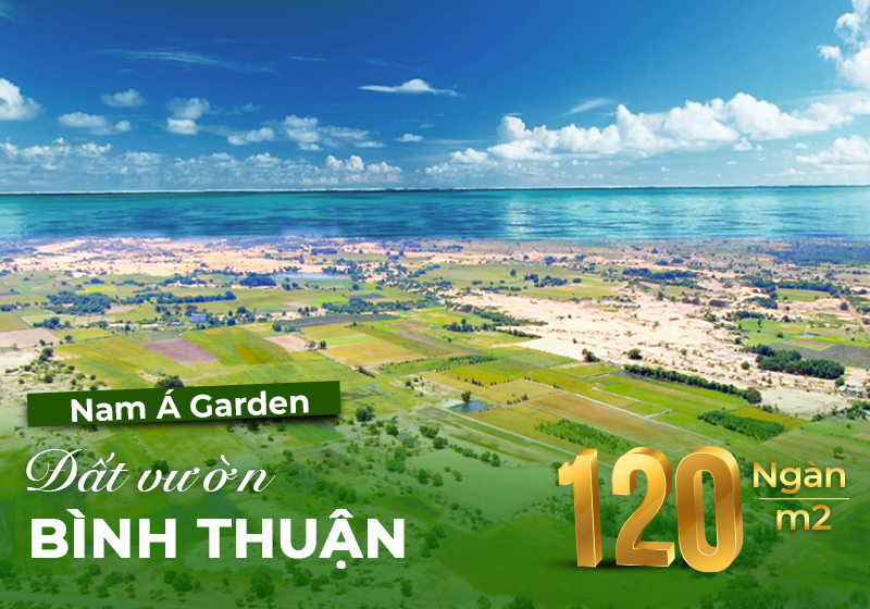 Nam A Garden dat vuon Binh Thuan